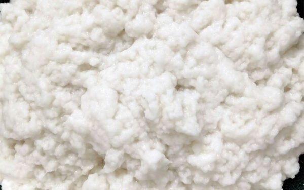 paper pulp craft